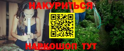мдпв Бийск