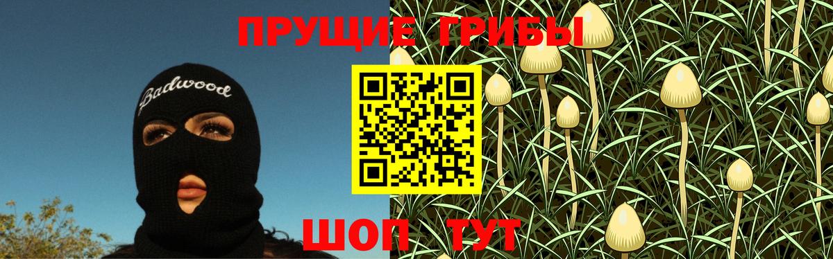 Псилоцибиновые грибы прущие грибы Каменск-Уральский