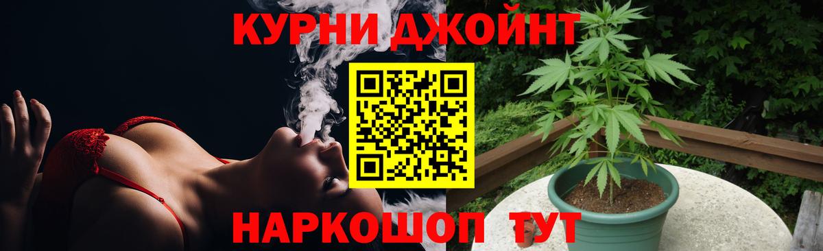 Бошки Шишки гибрид Каменск-Уральский